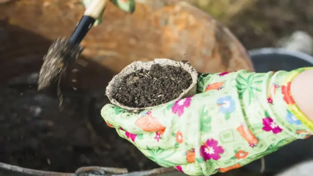 Con abonos orgánicos agricultores podrían reducir hasta un 35% sus costos de producción